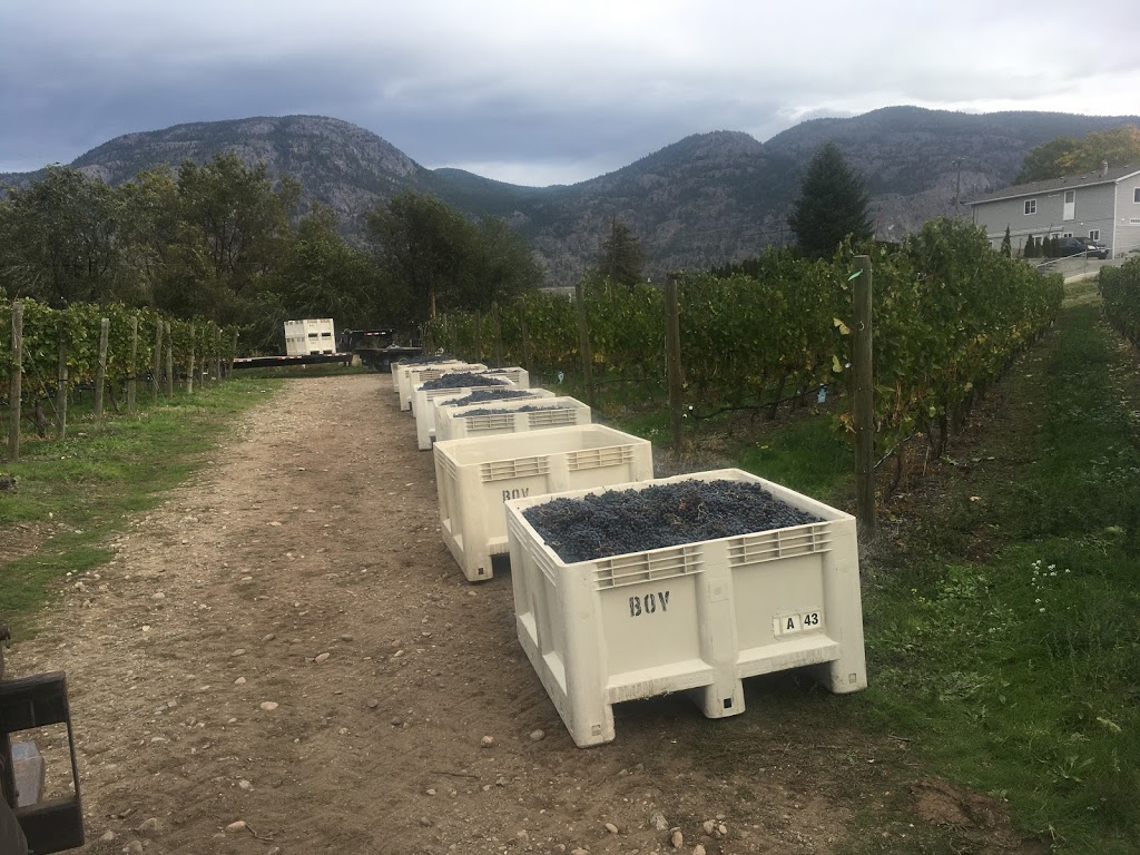the del Ray | 8949 122 Ave, Osoyoos, BC V0H 1V2, Canada | Phone: (250) 495-2565