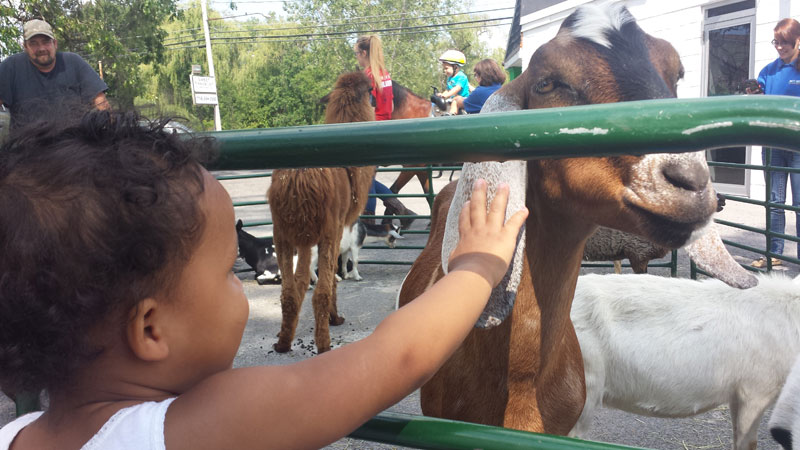 Sweet Angels Day Care and Pre-school | 6441 Dysinger Rd, Lockport, NY 14094, USA | Phone: (716) 433-2500