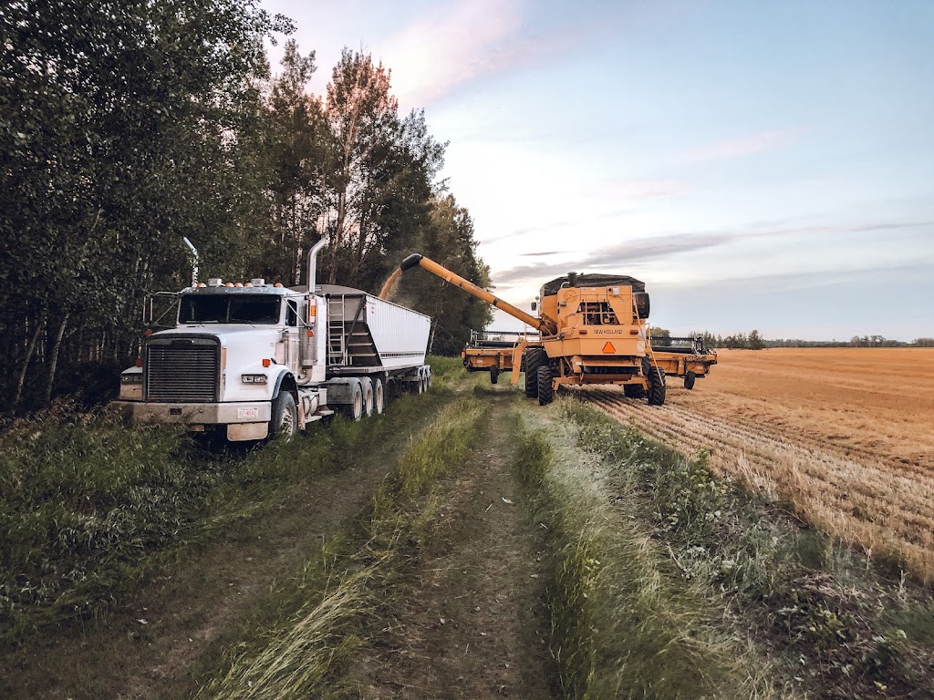 Letts Farm | 60231- Rge Rd, 11, Westlock, AB T7P 2N9, Canada | Phone: (780) 307-6211