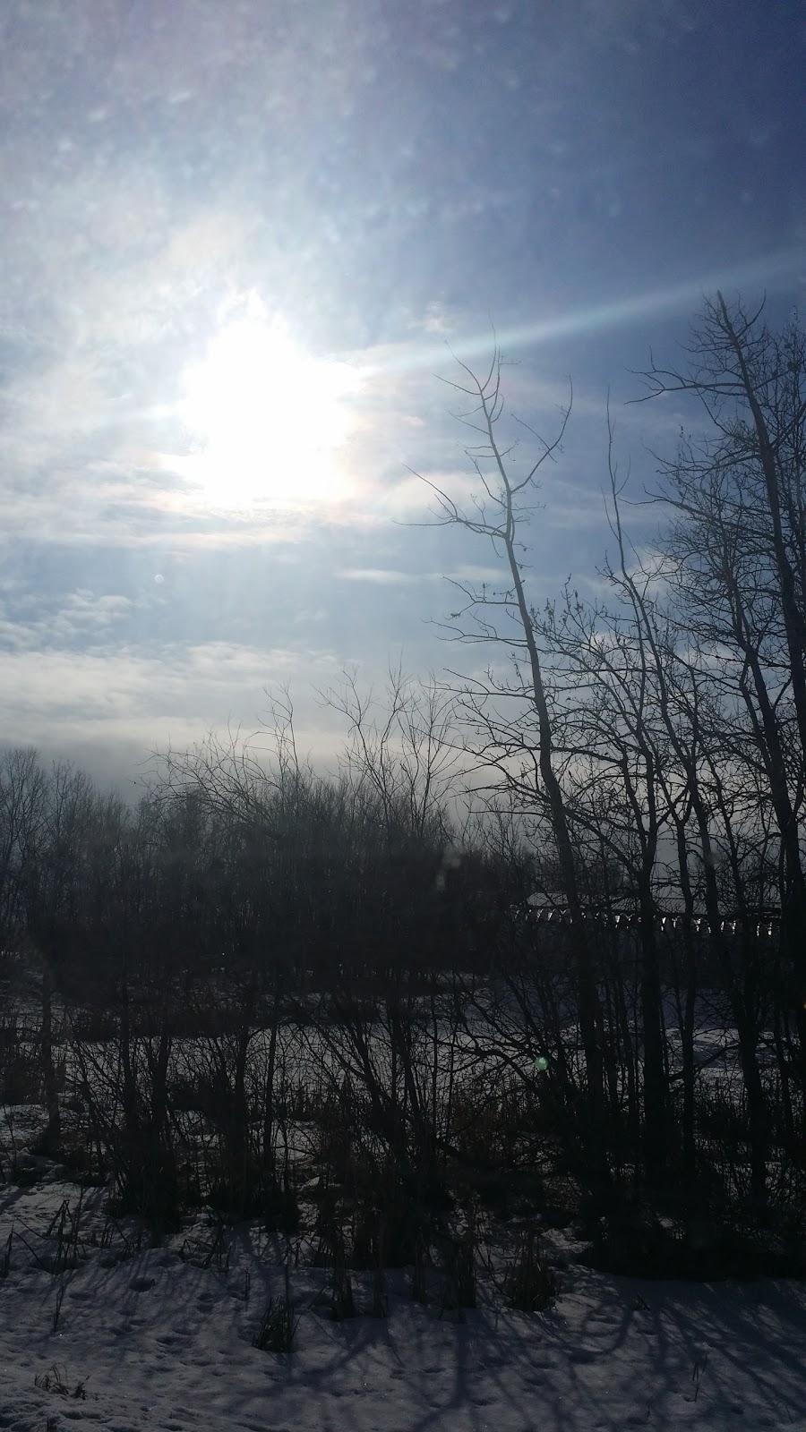 Tree House Treasures | 34 1 St N, Saint Benedict, SK S0K 3T0, Canada | Phone: (306) 289-2001