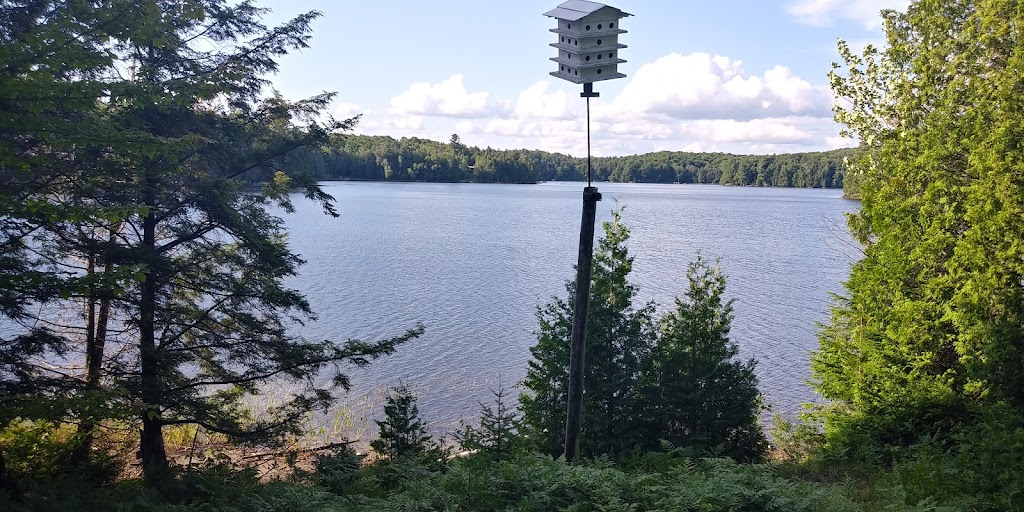 Camp Gan Israel | 1726 Gan Israel Trail, Haliburton, ON K0M 1S0, Canada | Phone: (905) 731-7000
