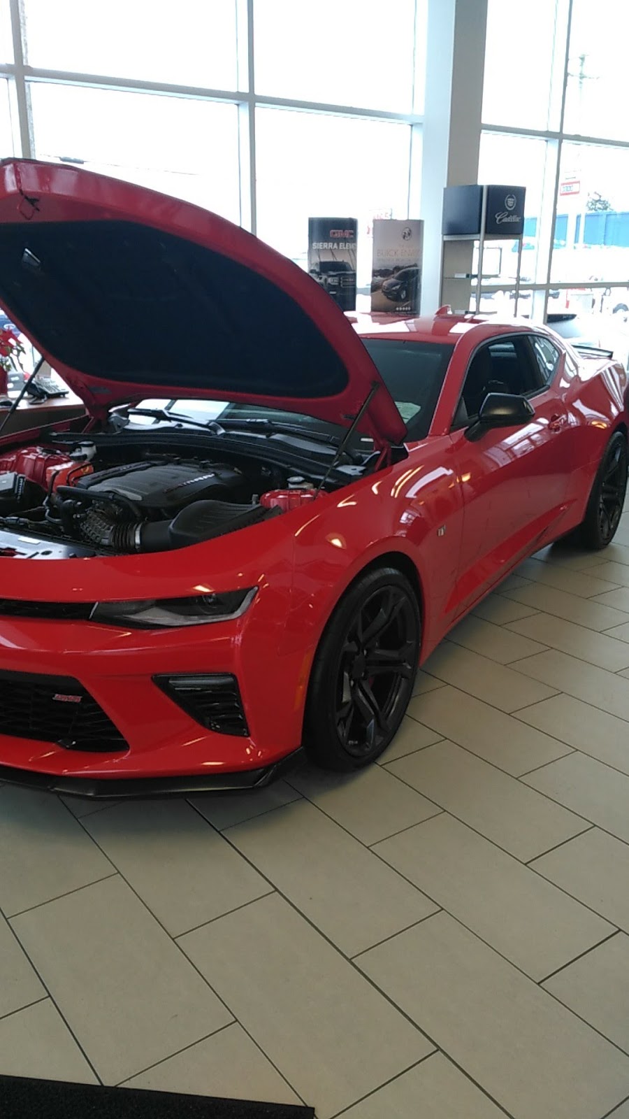 Mertin Auto Group | 45930 Airport Rd, Chilliwack, BC V2P 1A2, Canada | Phone: (604) 795-9104