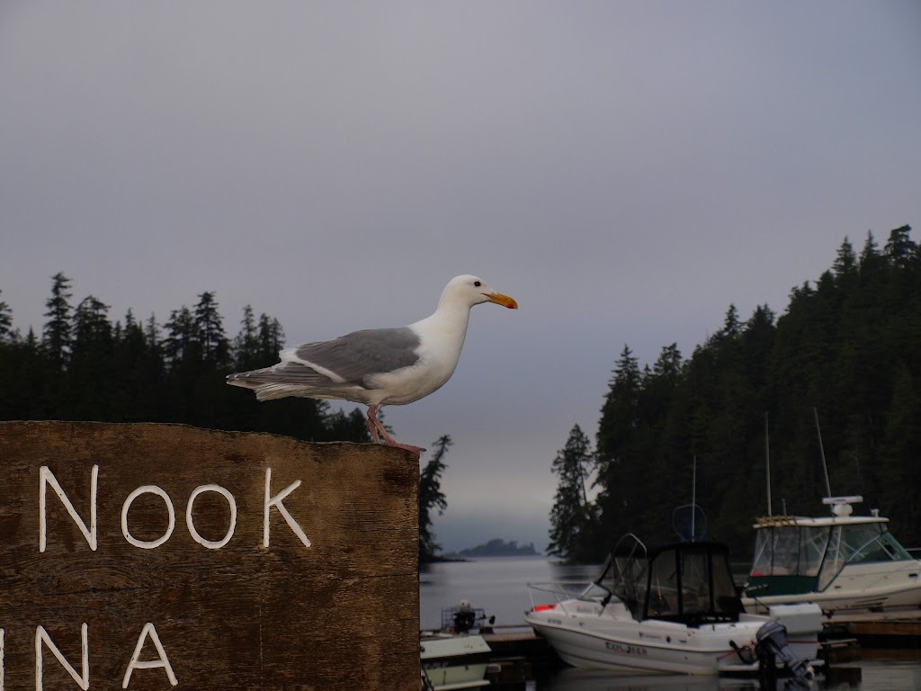 Poett Nook Marina and Campground | Sarita, BC V9Y 7L9, Canada | Phone: (250) 720-9572