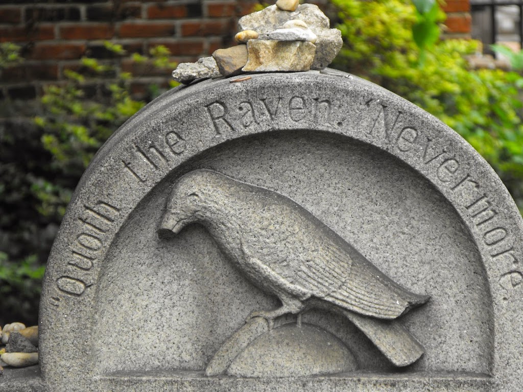 NelsonWeb | 2603 Rue des Hospitalières, Québec, QC G1W 1V7, Canada | Phone: (418) 554-7446