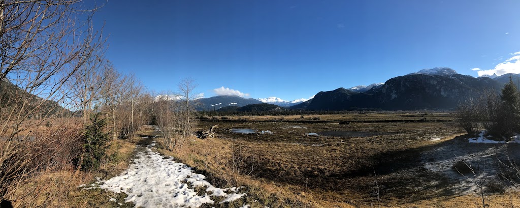 Estuary Chelem Trail | Squamish, BC V8B, Canada