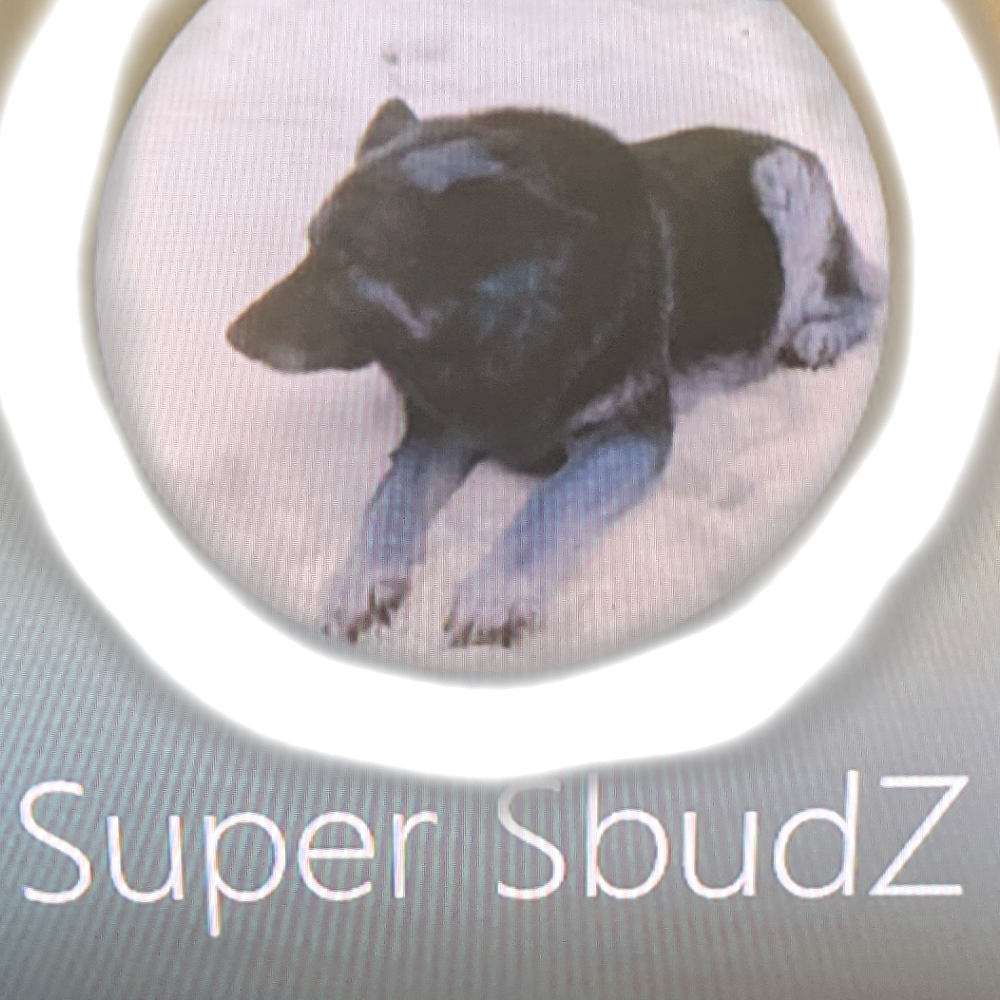 Dj SbudZ | 49 Meadowcreek Ln, Cambridge, ON N3H 4R8, Canada | Phone: (226) 201-1666