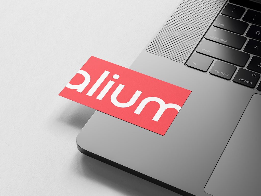 Agence Alium | 18 Rue de lOrtie, Saint-Constant, QC J5A 2H9, Canada | Phone: (514) 836-6354