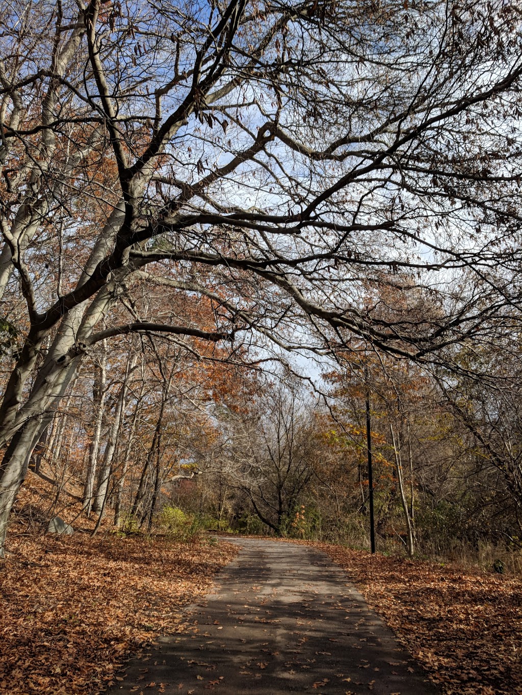 Arbour Green | 4145 Treetop Crescent, Mississauga, ON L5L 2L8, Canada