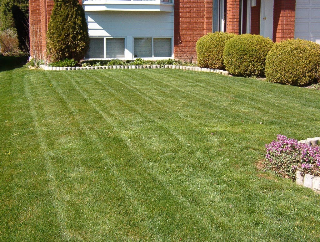 GREEN CARE Property Maintenance | 245 Gibb St, Oshawa, ON L1J 1Y9, Canada | Phone: (905) 424-1441
