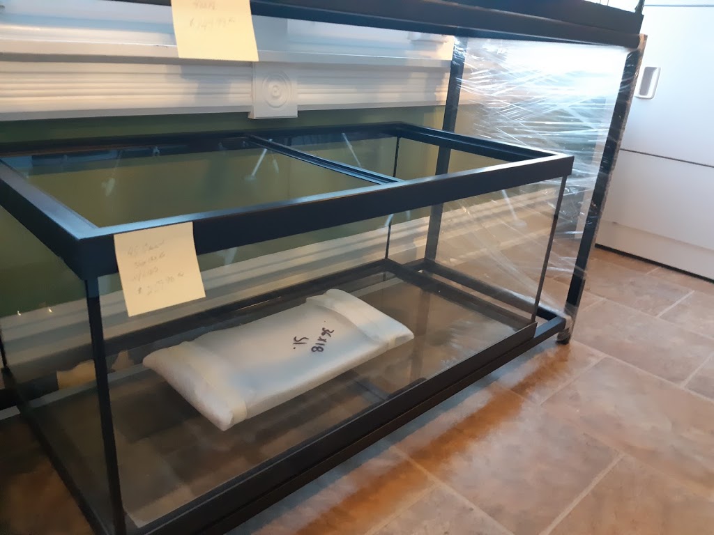 Aquarium Services Plus | 386 6th Ave, Hanover, ON N4N 2G2, Canada | Phone: (705) 358-4926