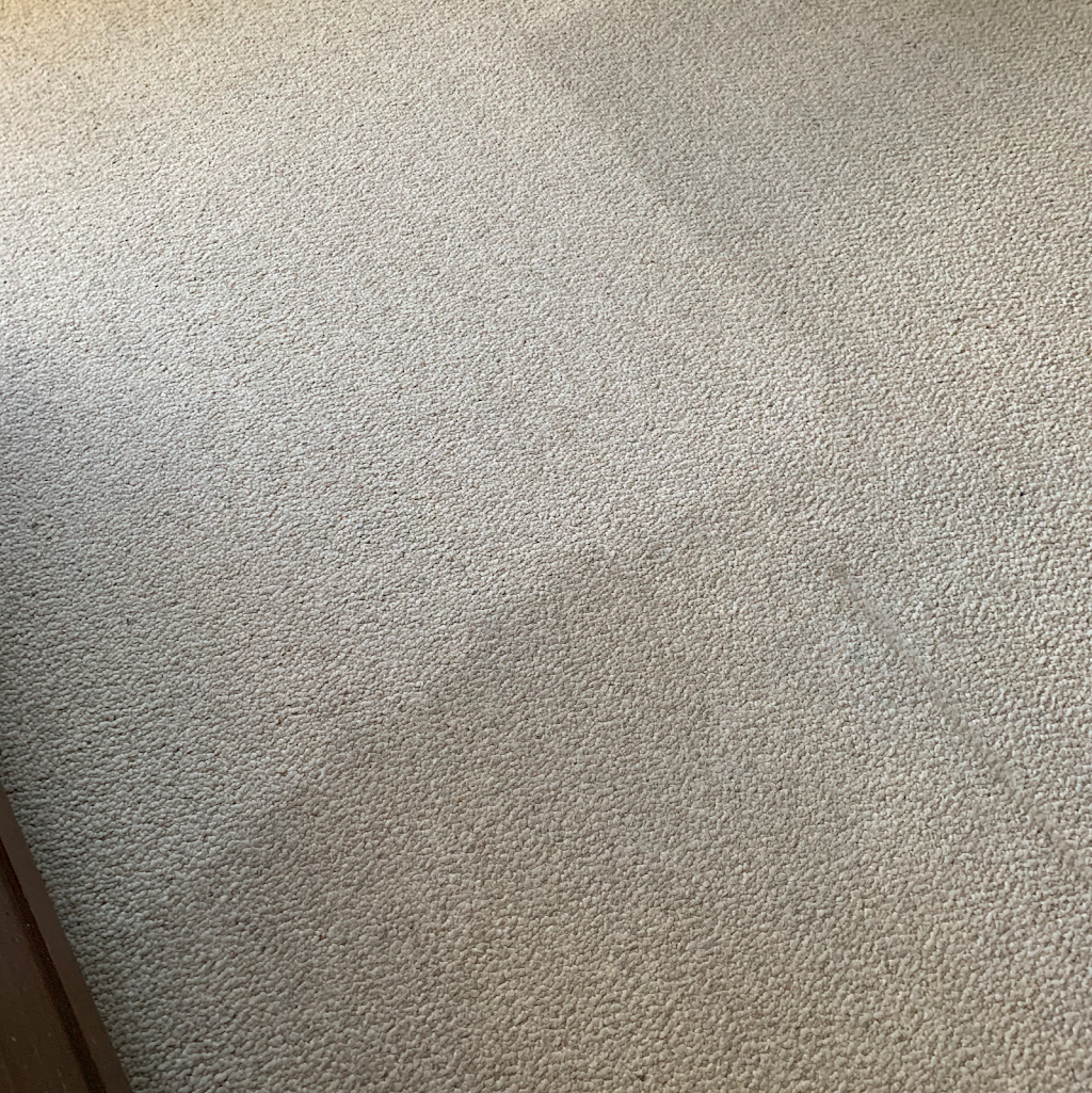 Williams Carpet Cleaning Coquitlam | 2044 Kugler Ave, Coquitlam, BC V3K 2S6, Canada | Phone: (604) 518-0878