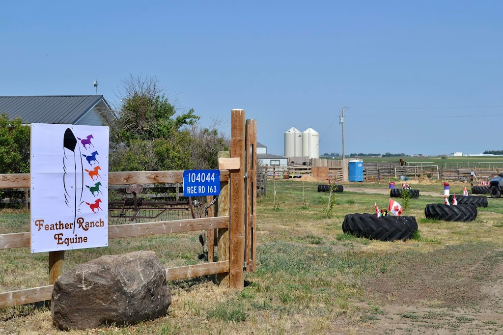 Feather Ranch Equine | Range Rd 163, Taber, AB T1G 2E1, Canada | Phone: (403) 331-9203