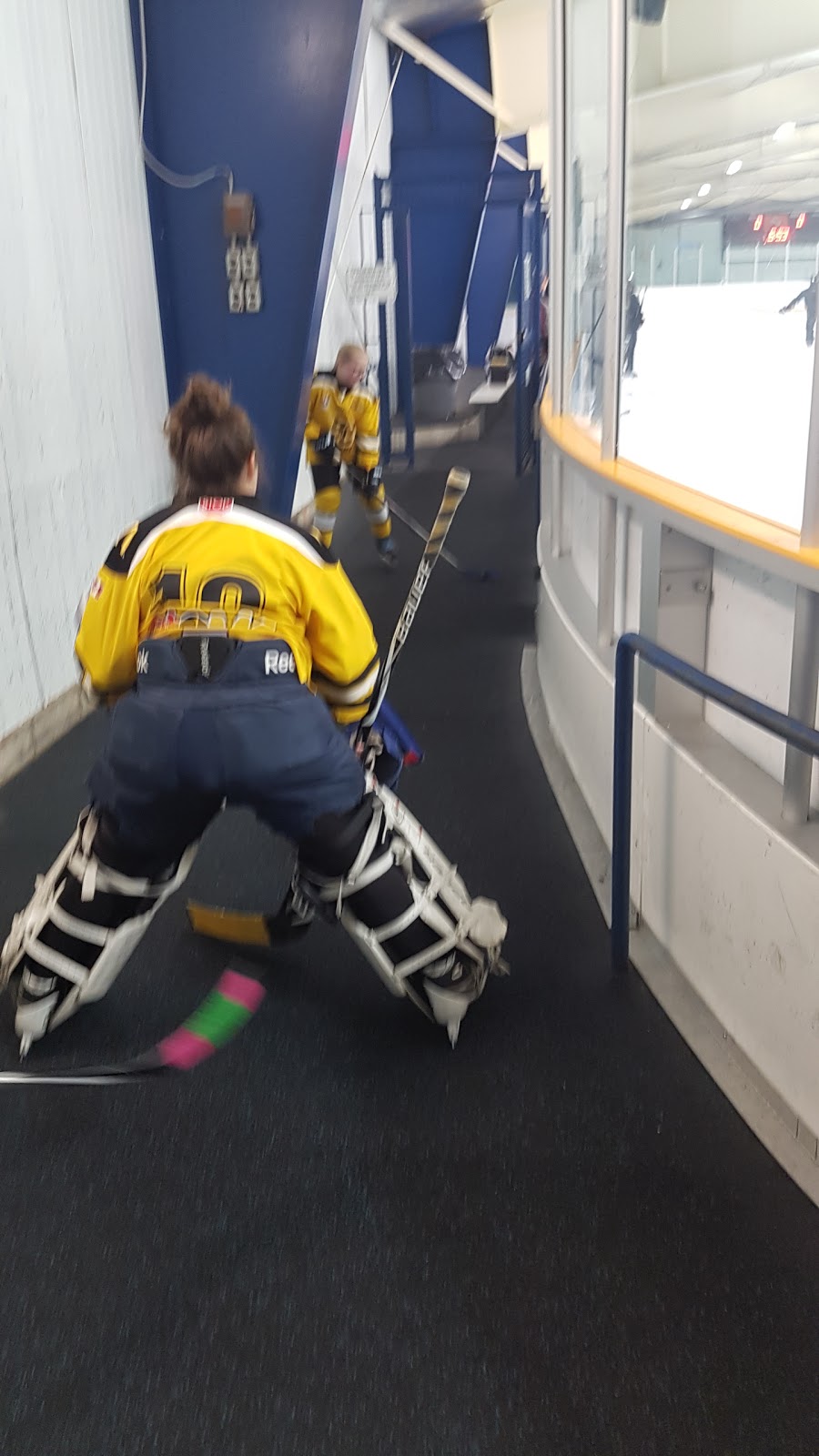 Saltfleet Arena | 24 Sherwood Park Rd, Stoney Creek, ON L8E 4Y8, Canada | Phone: (905) 546-3747
