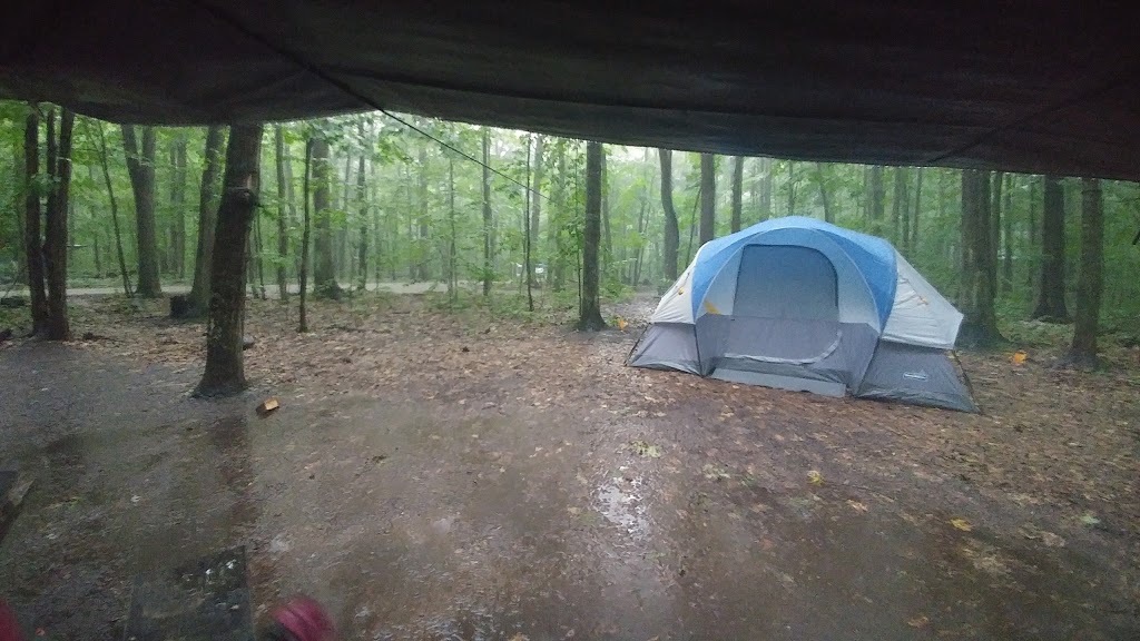 Snake Campground | Tiny, ON L9M 1R2, Canada | Phone: (705) 549-2231