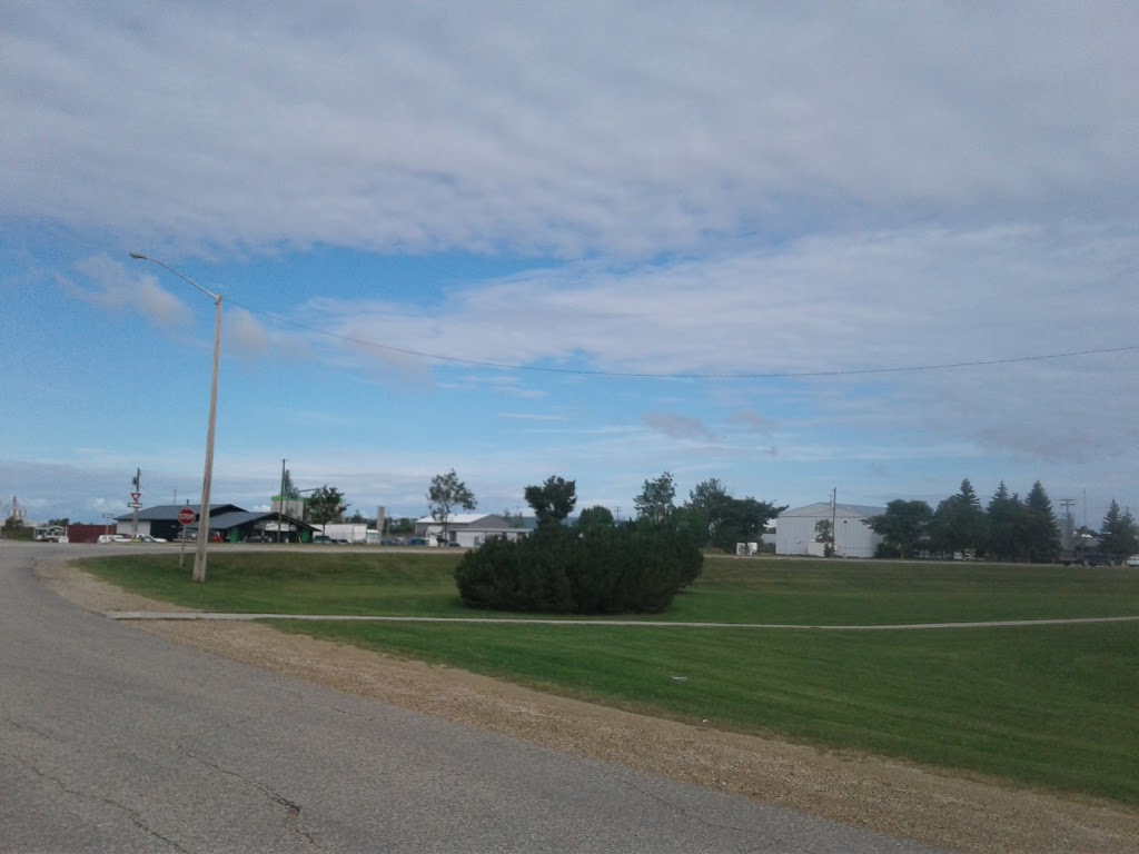 Morris Bigway Foods | 654 Main St S, Morris, MB R0G 1K0, Canada | Phone: (204) 746-2411