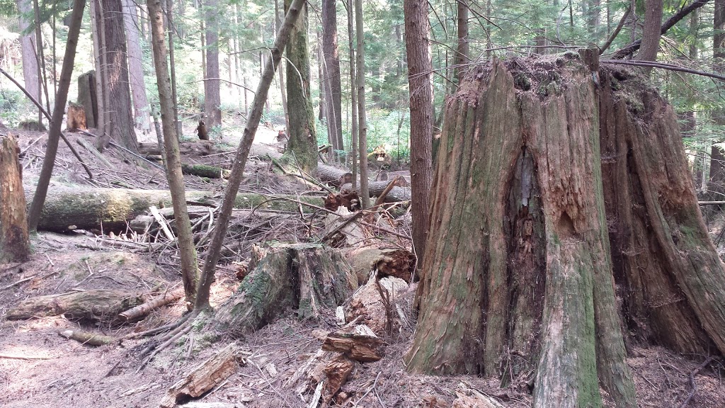 Buntzen Lake Wardens Office | 5000 Sunnyside Rd, Anmore, BC V3H, Canada | Phone: (604) 469-9679