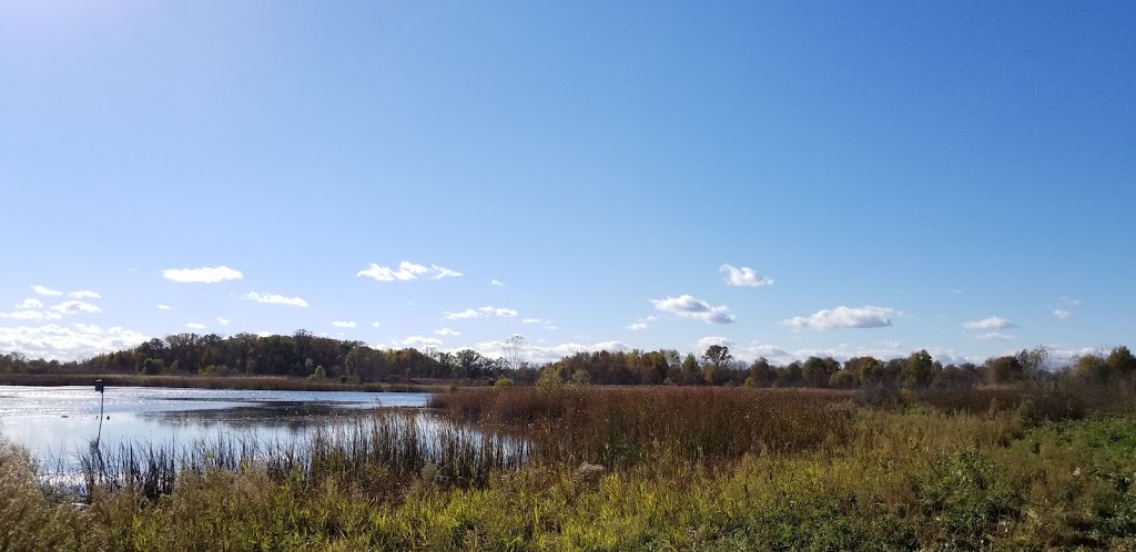 Wetzel State Recreation Area | 27 Mile Rd, New Haven, MI 48048, USA | Phone: (810) 765-5605