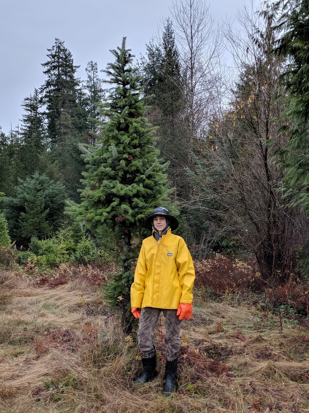 Whiskey Creek Christmas Tree Farm | Melrose Rd, Qualicum Beach, BC V9K 2M9, Canada | Phone: (250) 661-9528