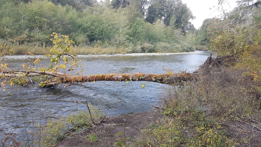 Sandy Pool Regional Park | W Riverbottom Rd, Duncan, BC V9L 6J6, Canada | Phone: (250) 746-2620