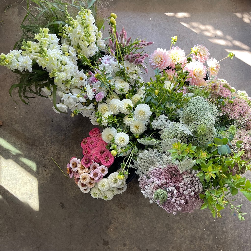 Little Flora Gem | 264 Canard St, Port Williams, NS B0P 1T0, Canada | Phone: (902) 300-6682