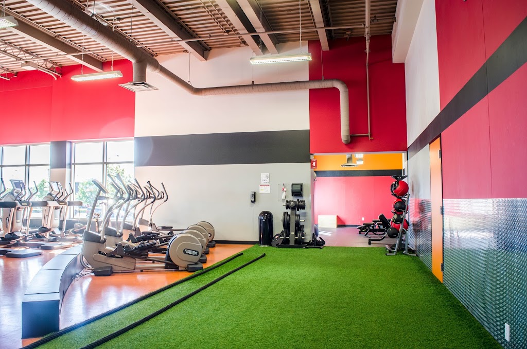 World Gym St-Jérôme | 500 Bd des Laurentides, Saint-Jérôme, QC J7Z 7M8, Canada | Phone: (450) 432-2700