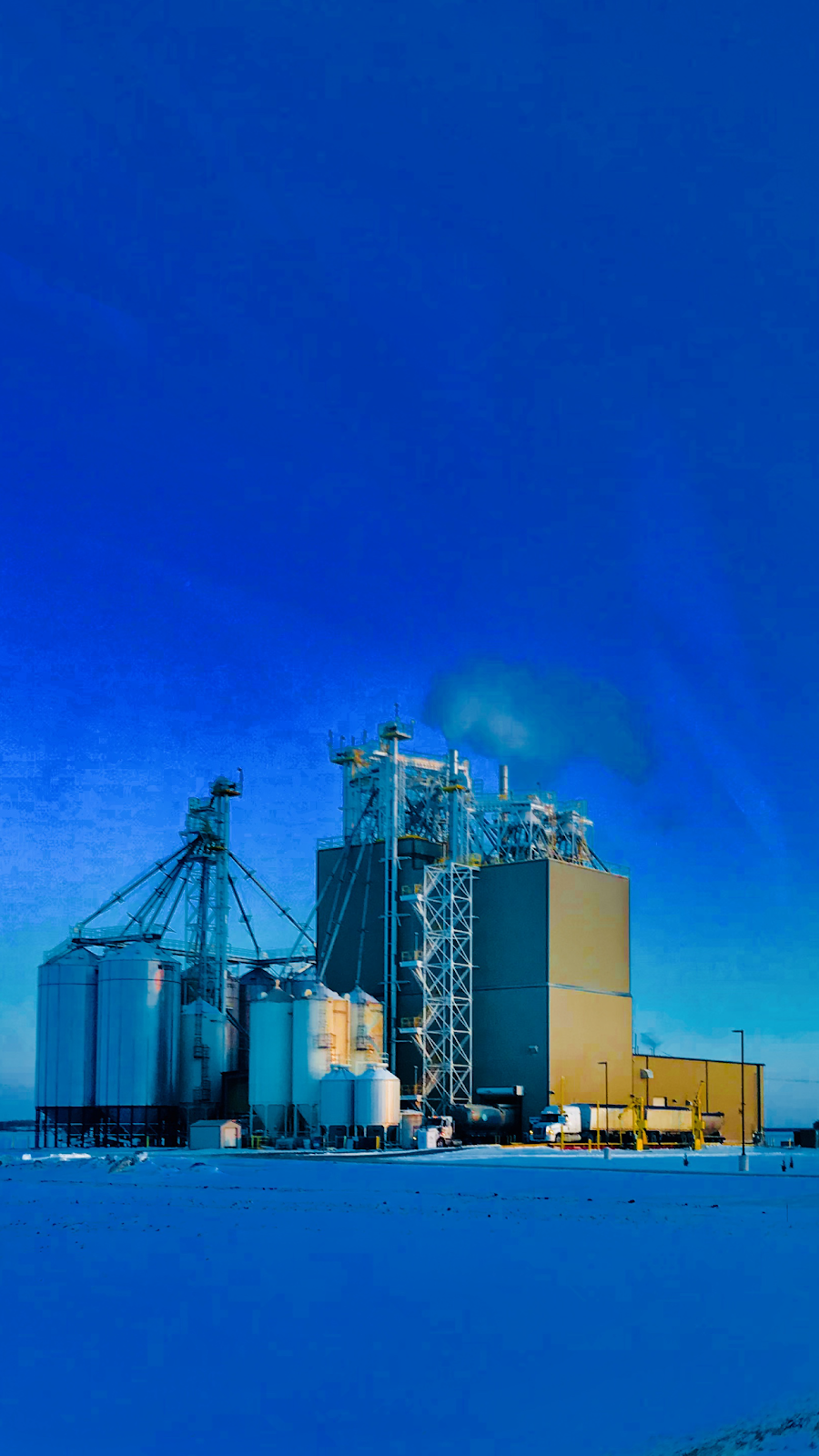HyLife Feeds | Randolph, MB R0A 2G0, Canada | Phone: (204) 424-2300 ext. 801