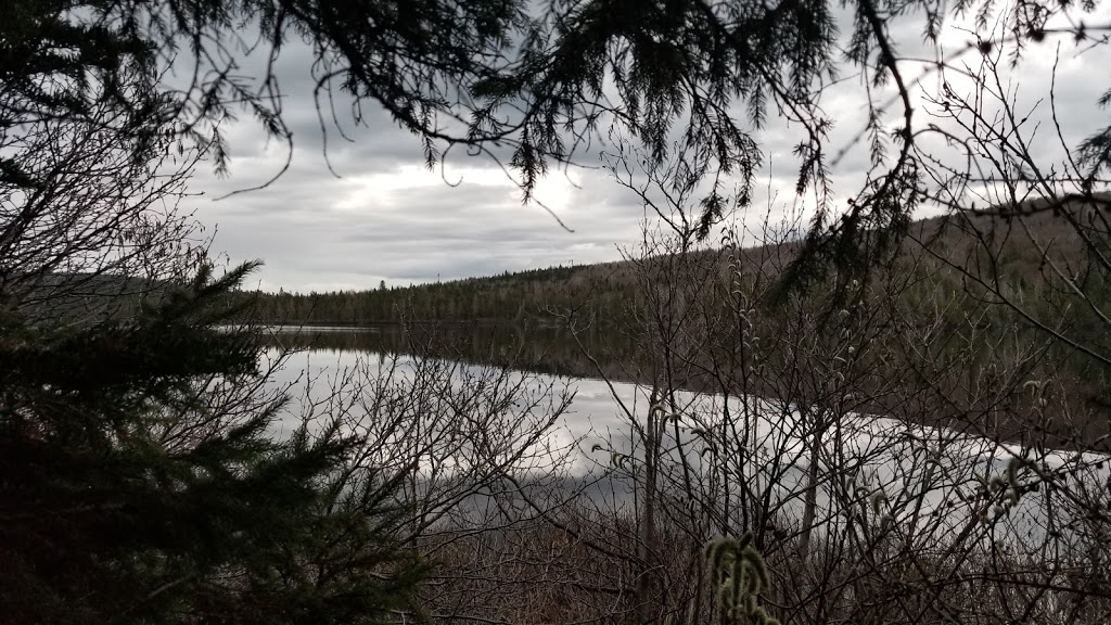 Wildlife Mastigouche | Rang des Pins-Rouges, Saint-Alexis-des-Monts, QC J0K 1V0, Canada | Phone: (800) 665-6527
