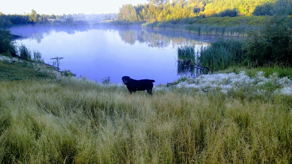 North Telford Park | Leduc, AB T9E 8C2, Canada