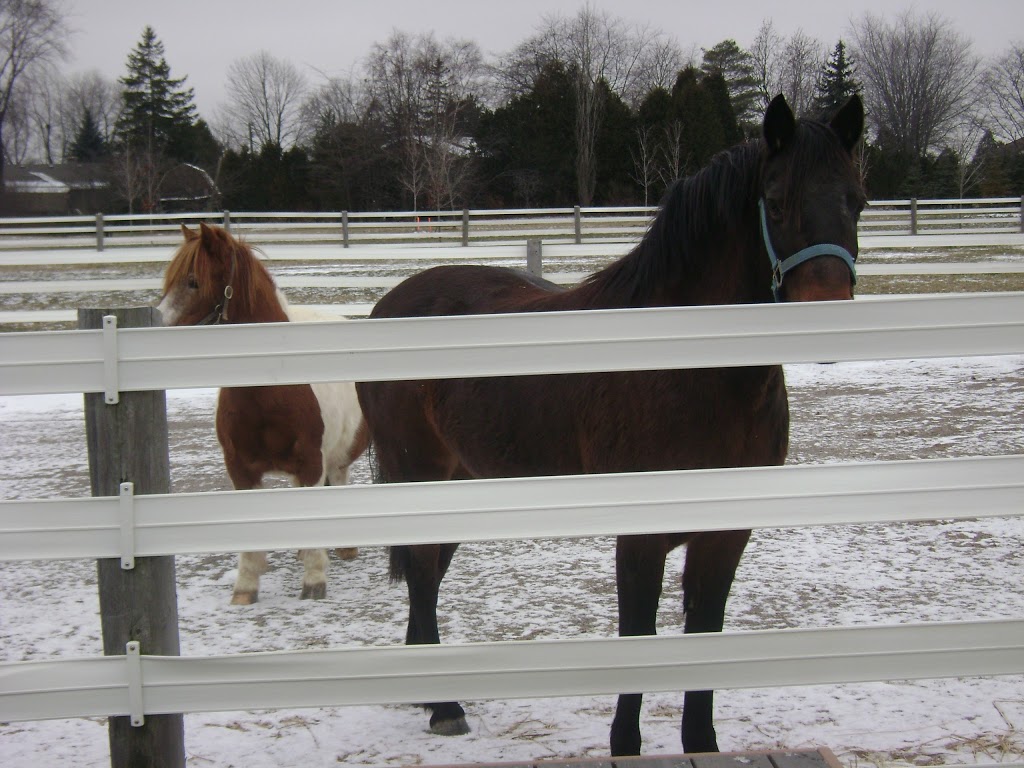 Highland Fence & Supply Inc | 804075 Road 80, Embro, ON N0J 1J0, Canada | Phone: (519) 475-4868