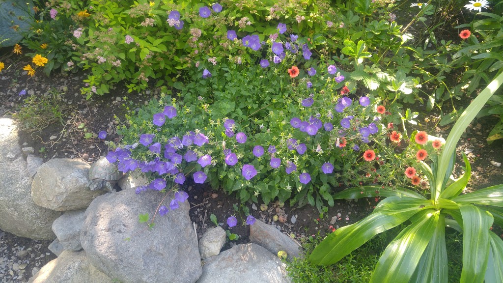 Fernands Perennial Garden | 480 QC-112, East Angus, QC J0B 1R0, Canada | Phone: (819) 832-2714