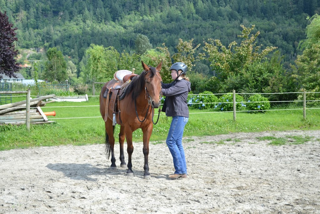 Cassidy Floris Horsemanship | 38606 Old Yale Rd, Abbotsford, BC V3G 1X5, Canada | Phone: (604) 832-3681