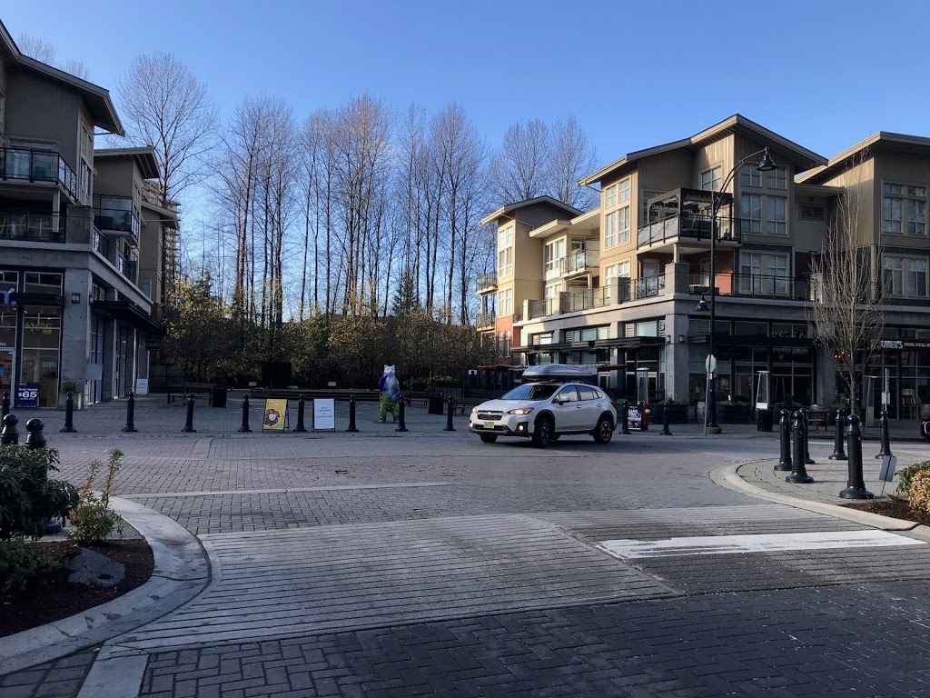 Summa Management Group Inc. | 2000 Panorama Dr Unit 18, Port Moody, BC V3H 5J5, Canada | Phone: (604) 376-5823