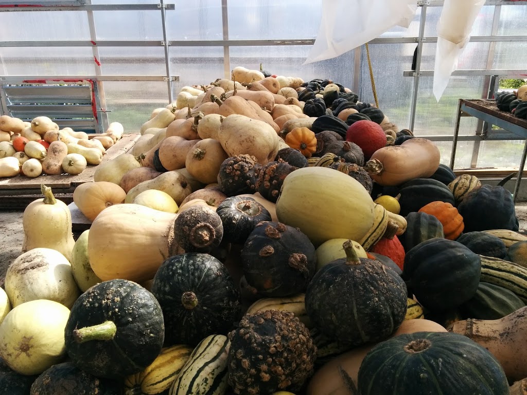 Lunar Rhythm Gardens, Organic CSA Farm | 253 Gray Rd, Janetville, ON L0B 1K0, Canada | Phone: (905) 986-9612