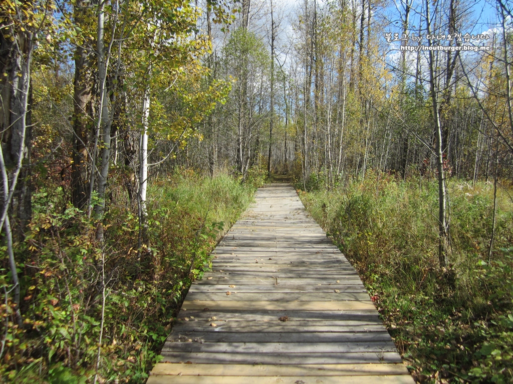 Moss lake trailhead #4 | Improvement District No. 13, AB T0B 2R0, Canada | Phone: (780) 922-5790
