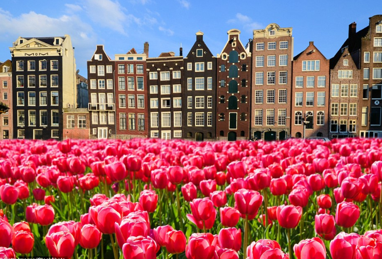 Expedia Cruises | 17-1581 Greenbank Rd, Nepean, ON K2J 4Y6, Canada | Phone: (613) 825-9015
