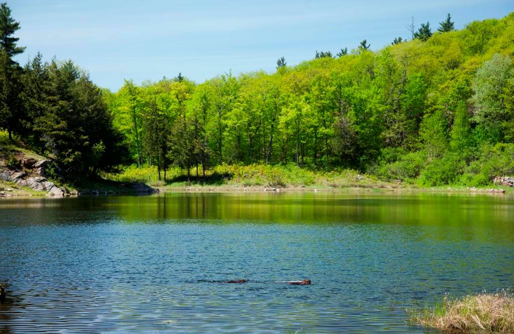 Parc de la Gatineau | 33 Chemin Scott, Chelsea, QC J9B 1R5, Canada | Phone: (613) 239-5000