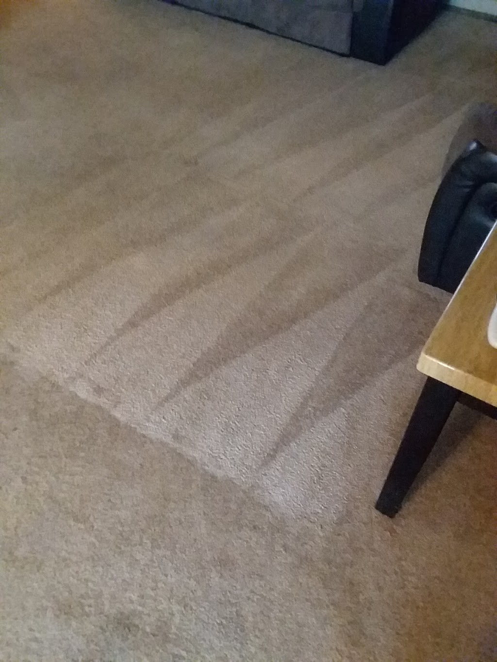 Tiger carpet care | 5495 Orchard Dr, East China, MI 48054, USA | Phone: (810) 420-0341
