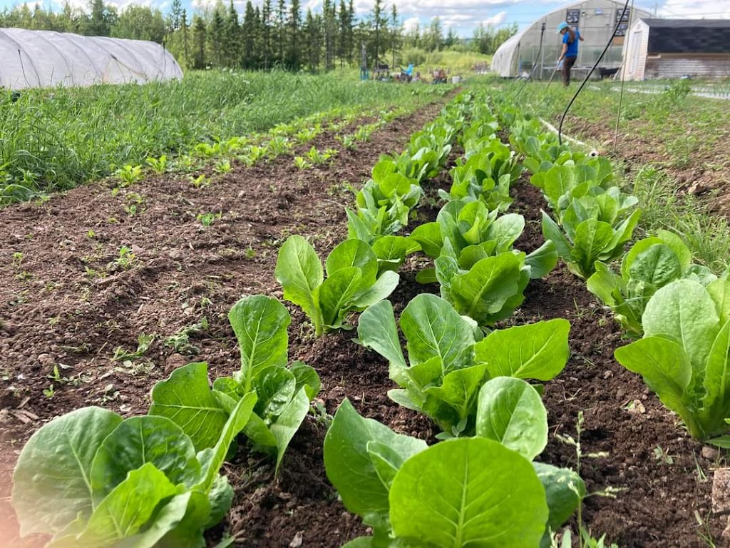 Codiac Organics Ltd. | 1176 Ryan St., Moncton, NB E1G 2V6, Canada | Phone: (506) 870-0772