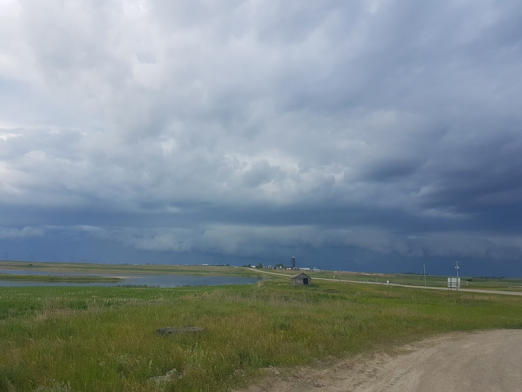 Blue Horizon Café & DOMO Gas | Highway 2 &, Yellowhead Hwy, Colonsay, SK S0K 0Z0, Canada | Phone: (306) 255-2789