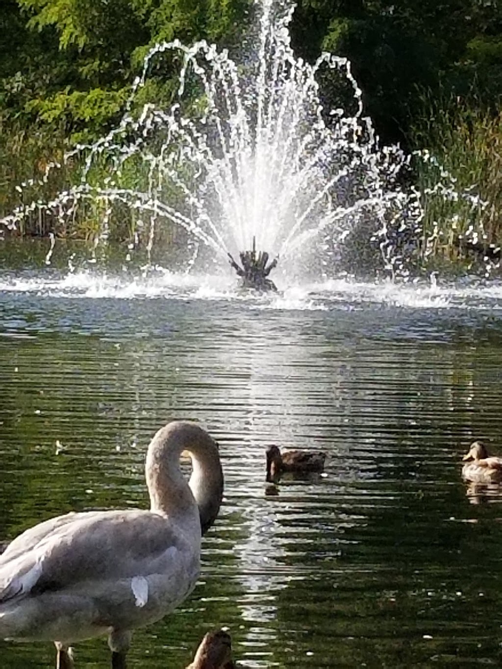 Milliken District Park | 5555 Steeles Ave E, Toronto, ON M9L 1S7, Canada | Phone: (416) 396-7757