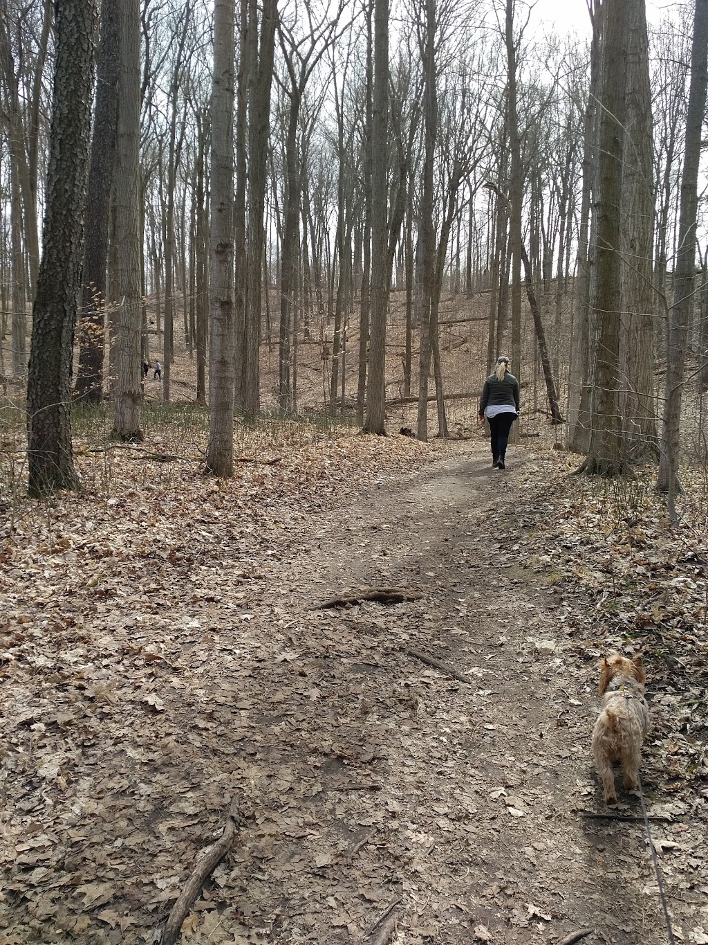 Parkvale Park | Kitchener, ON N2R 1Y8, Canada