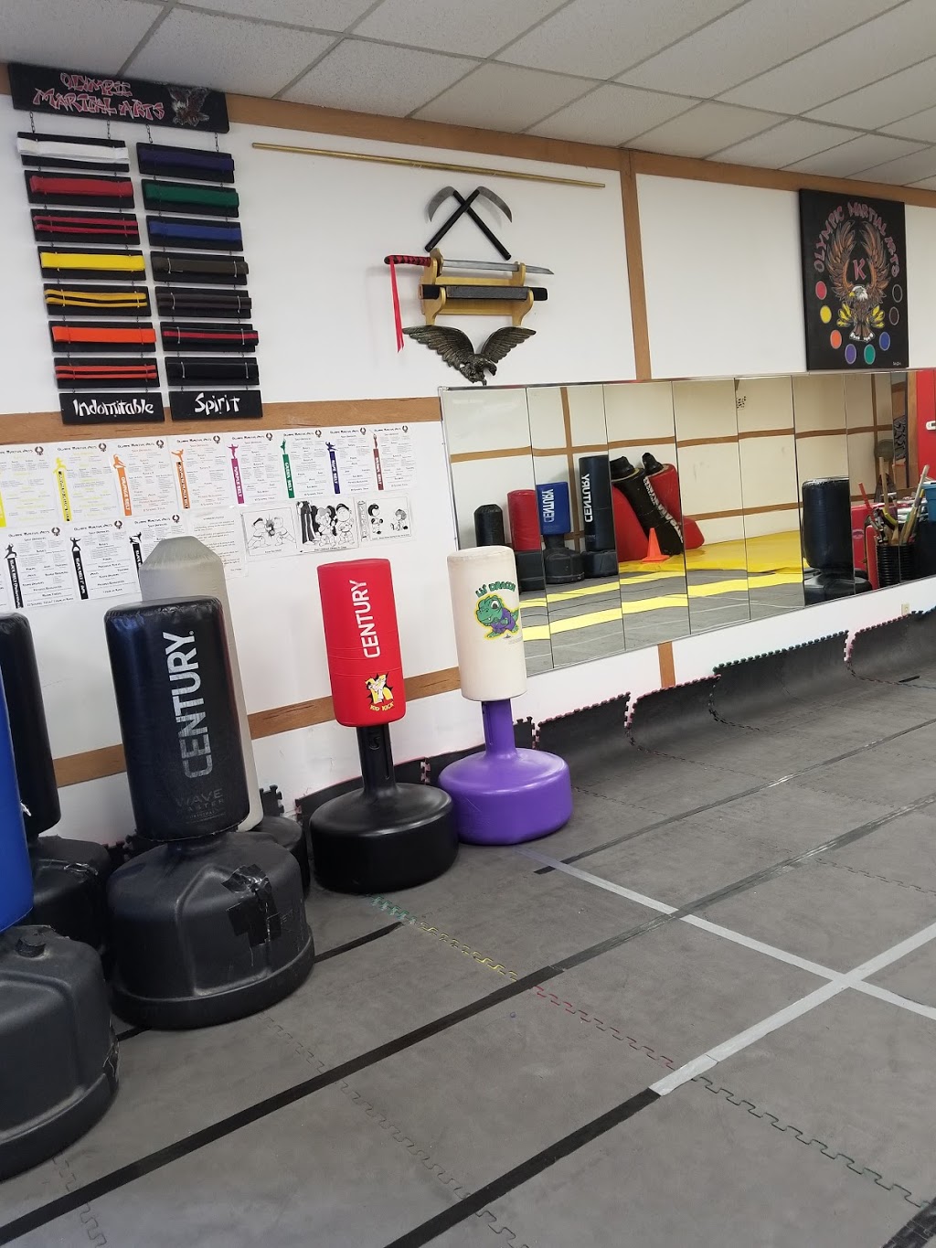Olympic Martial Arts | 725 Notre Dame Dr, London, ON N6J 3V5, Canada | Phone: (519) 494-0600
