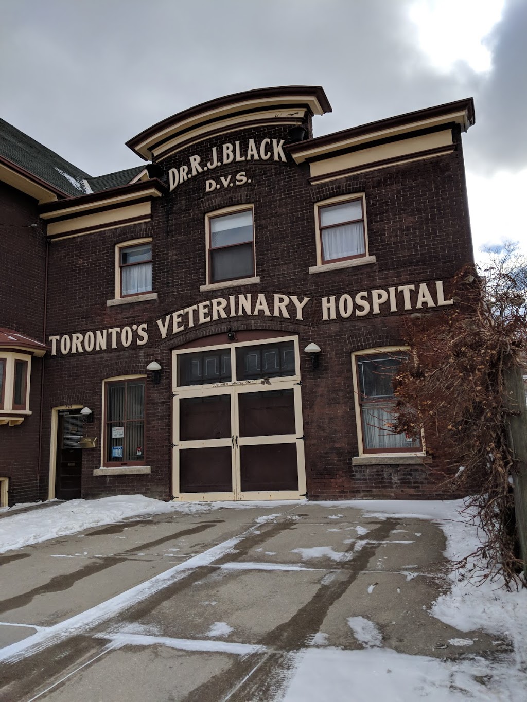 35951ab776daa13981e2bc56ba30c904_-ontario-toronto-division-toronto-old-toronto-blacks-toronto-veterinary-hospitalhtml.jpg