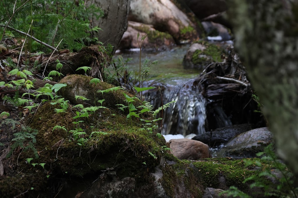 Camping Parc De La Rivière Batiscan | 200 Chem. du Barrage, Saint-Narcisse, QC G0X 2Y0, Canada | Phone: (418) 328-3599