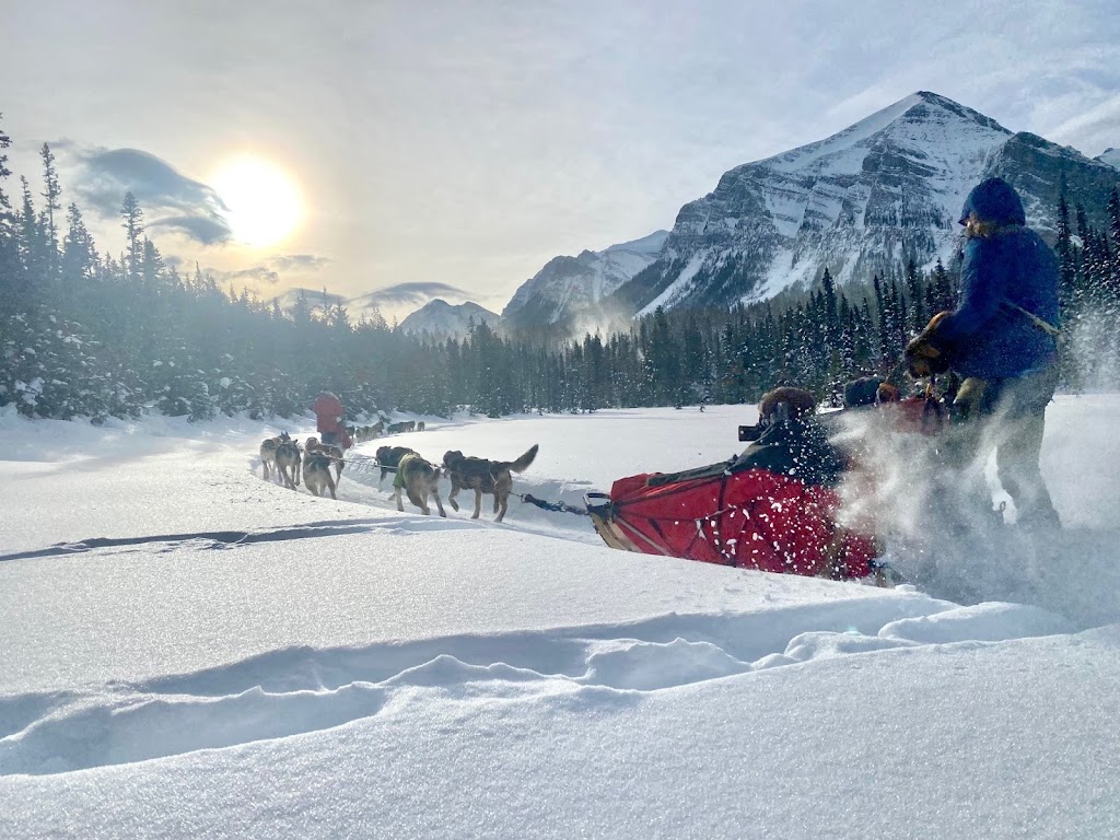 Kingmik Dog Sled Tours | 16430 Hwy 1A, Lake Louise, AB T0L 1E0, Canada | Phone: (855) 482-4592