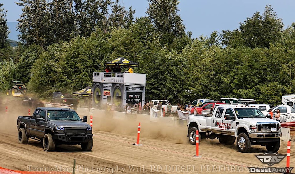 Deputy Diesel Performance | 15809 Industrial Ave, Summerland, BC V0H 1Z6, Canada | Phone: (250) 488-0415
