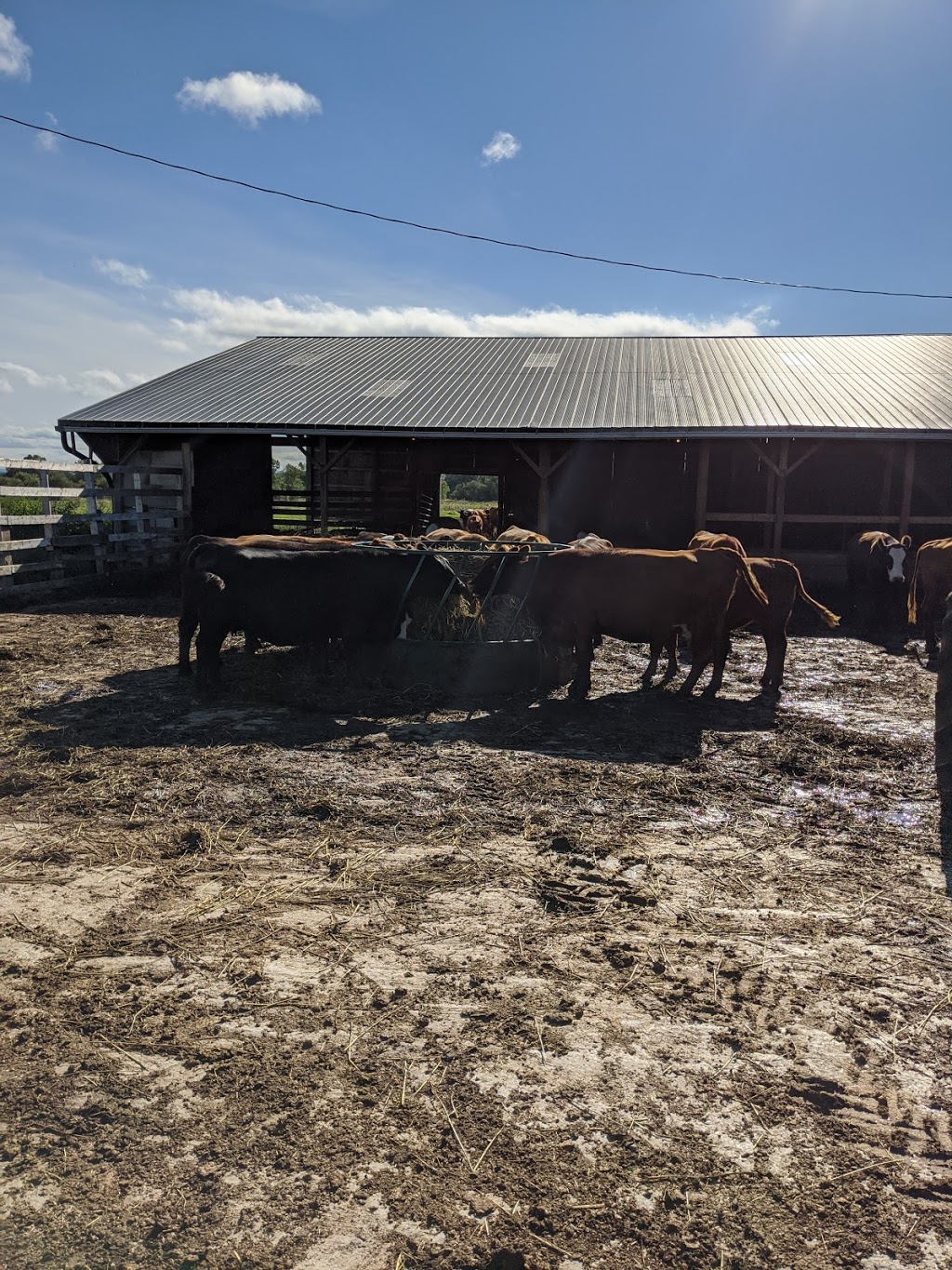 Edencrest Farms | 2904 Rainbow Valley Rd W, Minesing, ON L9X 1G5, Canada | Phone: (705) 737-2491