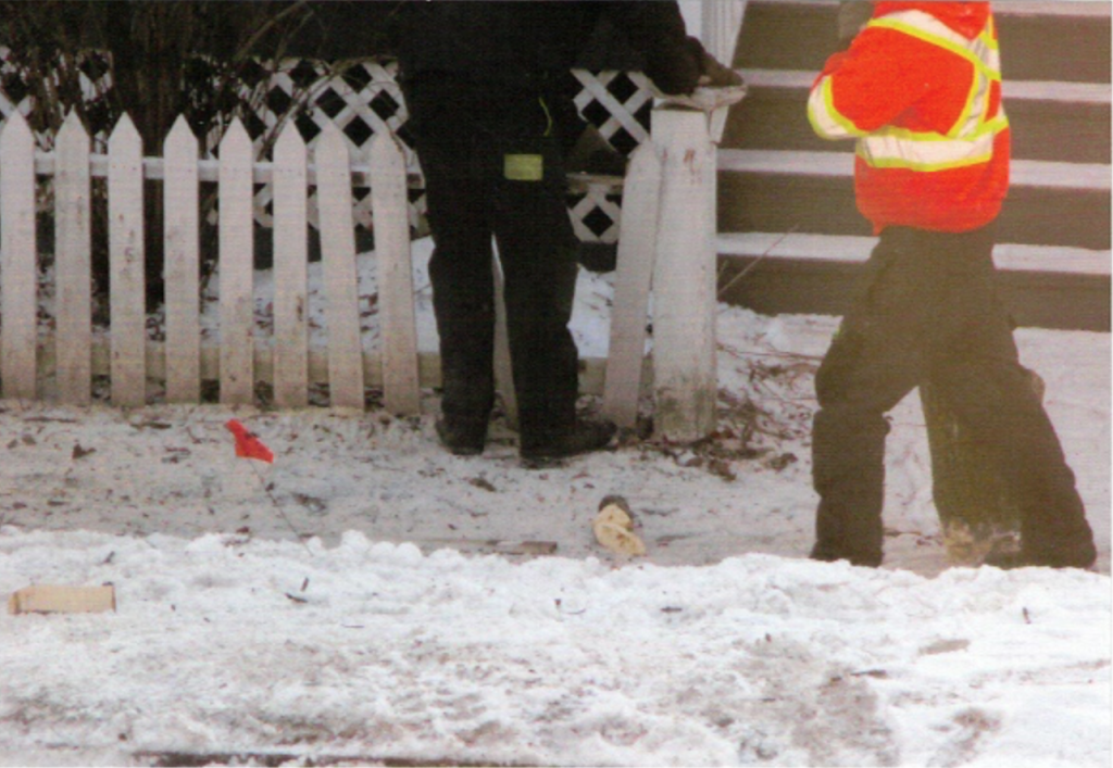 Kodiak Tree Services | 110 Sawmill Rd, Caledonia, ON N3W 2G9, Canada | Phone: (905) 648-5323