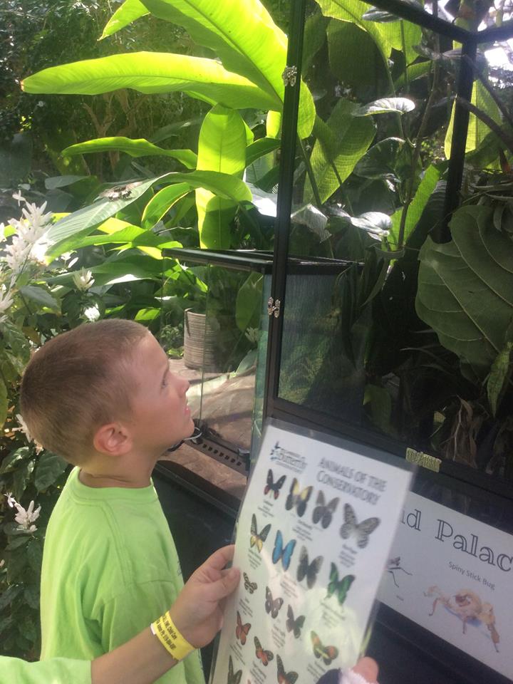 RisingOaks Early Learning | St. Luke (formerly Owl Child Care) | 550 Chesapeake Dr, Waterloo, ON N2K 4G5, Canada | Phone: (519) 747-0054