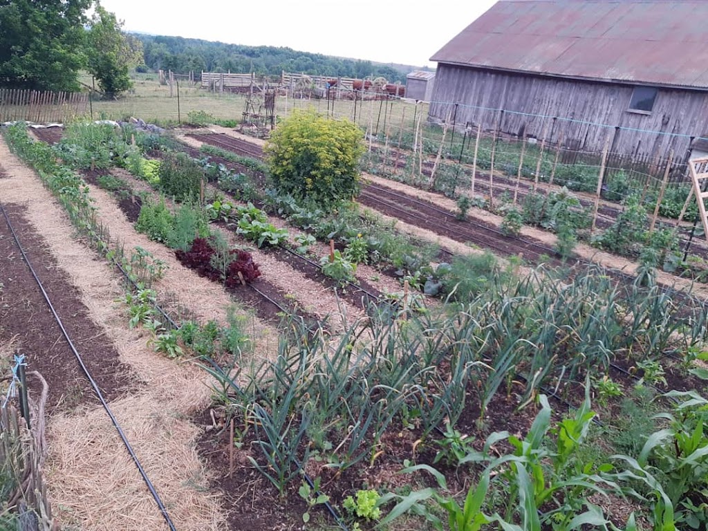 Feather and Tendril Farmstead | 1957 17 Line, Lakefield, ON K0L 2H0, Canada | Phone: (705) 731-9090